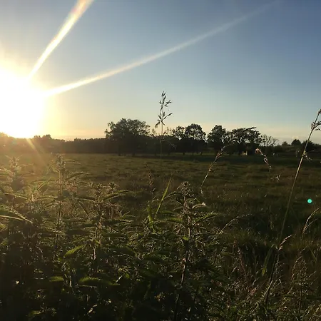 Petit Bayou Eco-tourism *