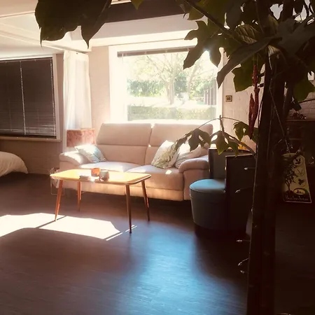 Casa vacanze Petit Bayou Eco-tourism *
